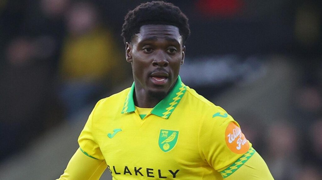 Socceroos Central: Toure double, Volpato goal, Okon-Engstler debut, Arzani assist